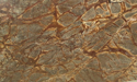 Rain Foresr Brown Marble